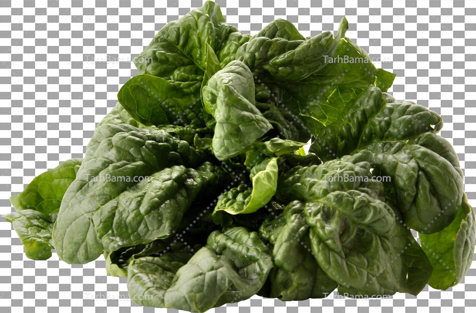 تصاویر سبزیجات